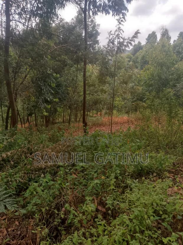 100/100 Plot for Sale Njoro Banana Kiambu - main view