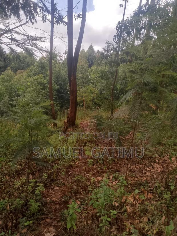100/100 Plot for Sale Njoro Banana Kiambu - thumbnail 2