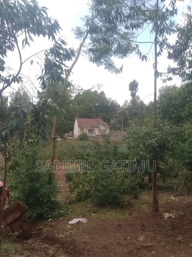 100/100 Plot for Sale Njoro Banana Kiambu - thumbnail 3