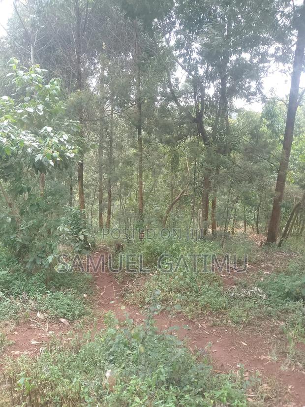 100/100 Plot for Sale Njoro Banana Kiambu - thumbnail 4