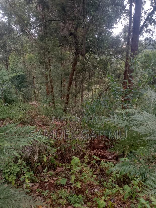 100/100 Plot for Sale Njoro Banana Kiambu - thumbnail 6