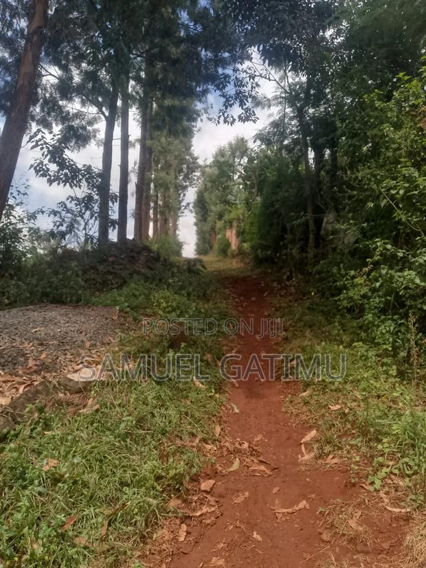 100/100 Plot for Sale Njoro Banana Kiambu - thumbnail 7