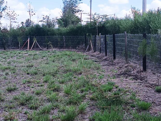 1/4 Acre Residential Plot Ruai Kangundo Road - thumbnail 2