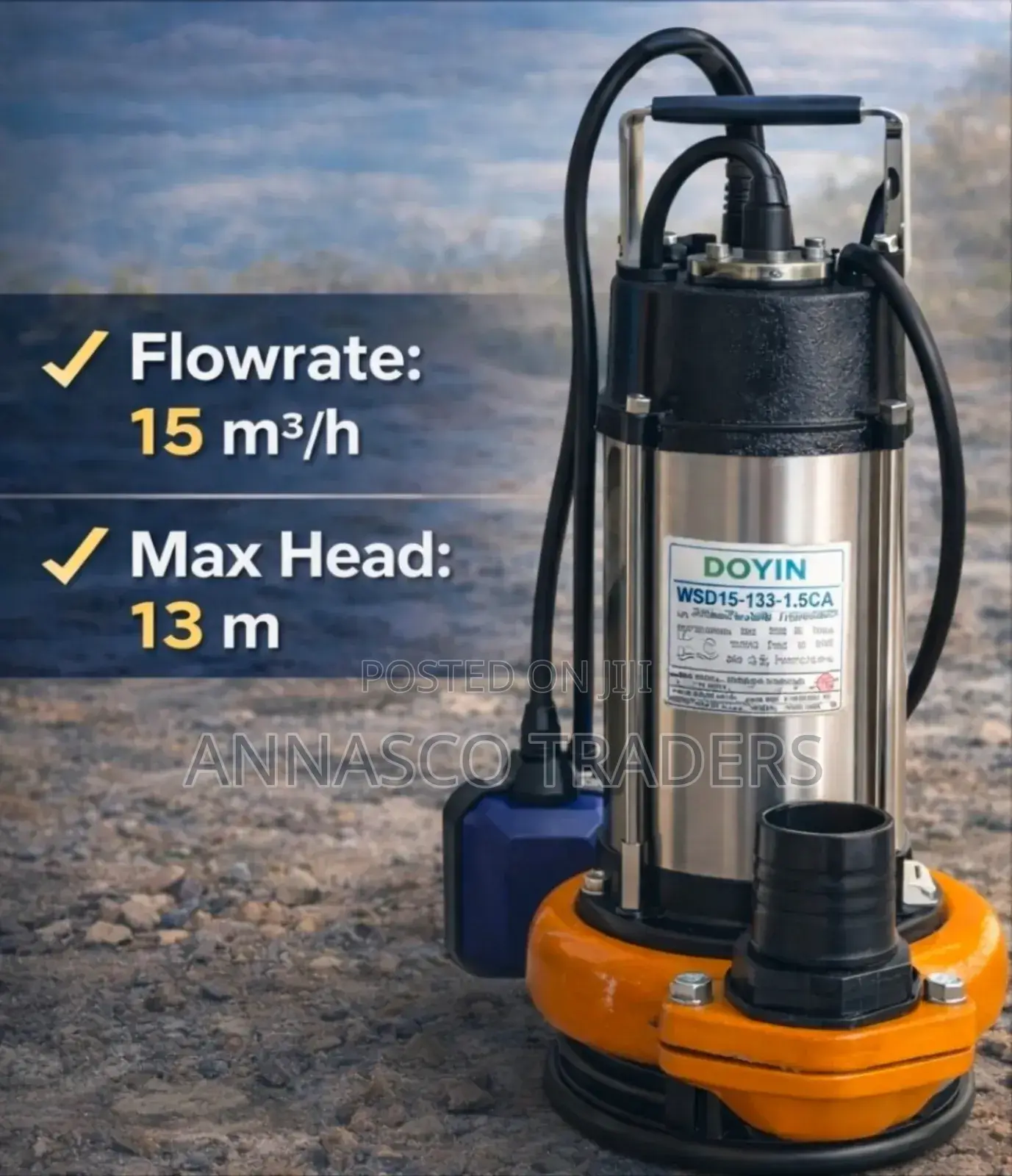 Sewage Pump