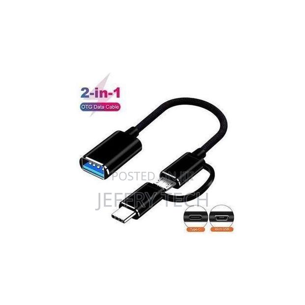 2-in-1 Otg Type-C Adapter Cable - main view