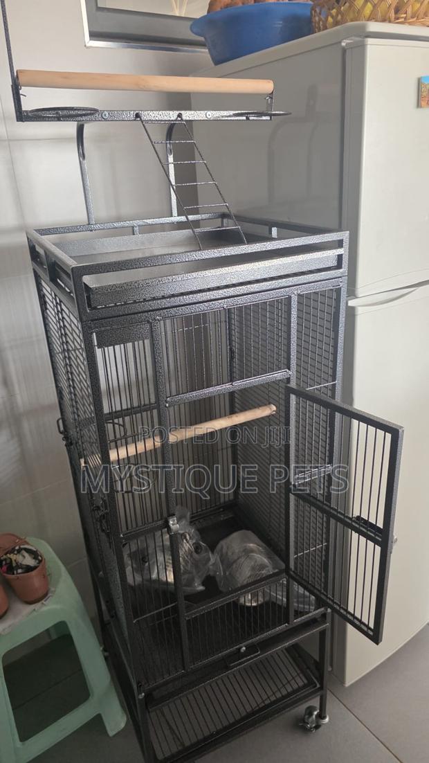 Parrot Cage - main view