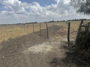 Quarter Acre Kisaju - thumbnail 2