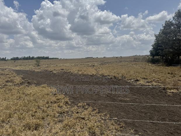 Quarter Acre Kisaju - thumbnail 5