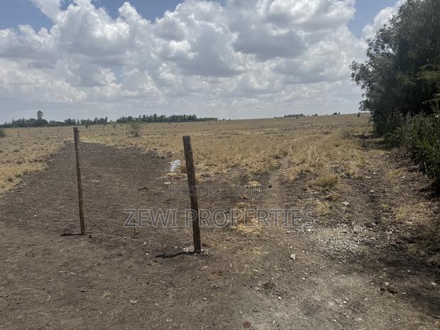 Quarter Acre Kisaju - thumbnail 3