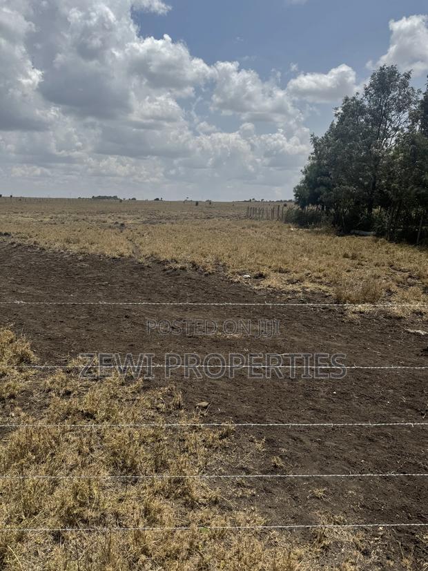 Quarter Acre Kisaju - thumbnail 6