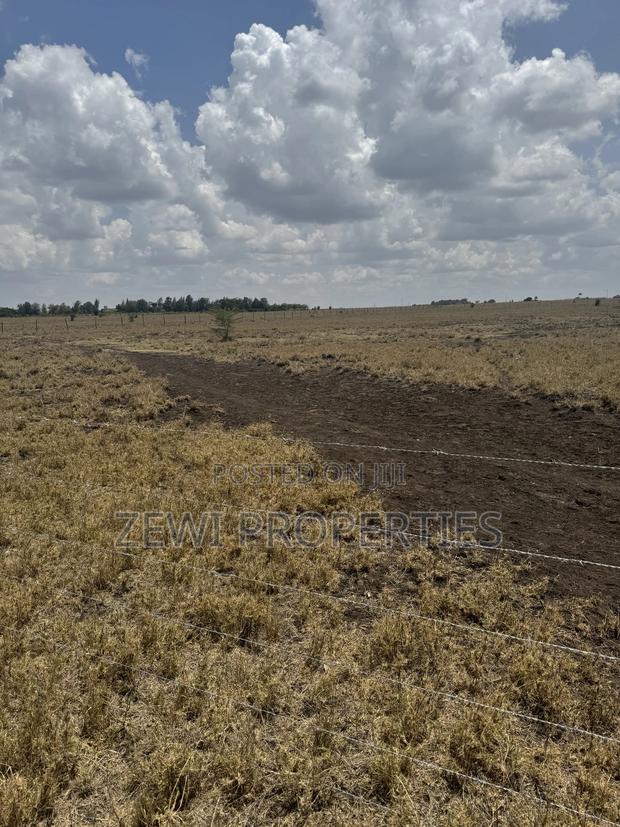 Quarter Acre Kisaju - thumbnail 7