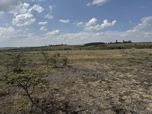 7 Acre Block Birika