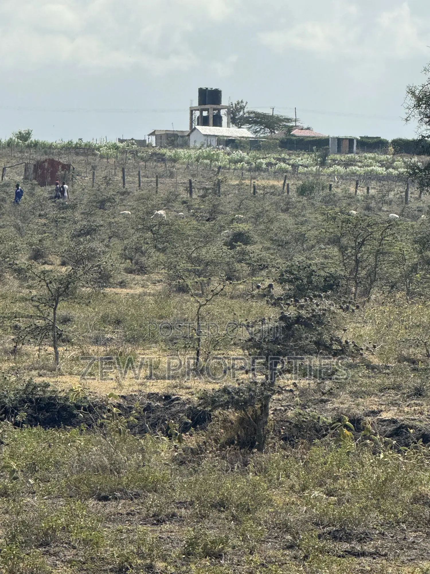 7 Acre Block Birika