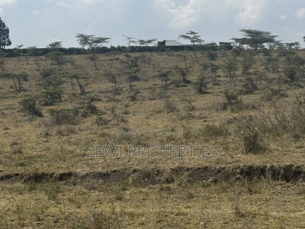 6 Acre Block - thumbnail 7