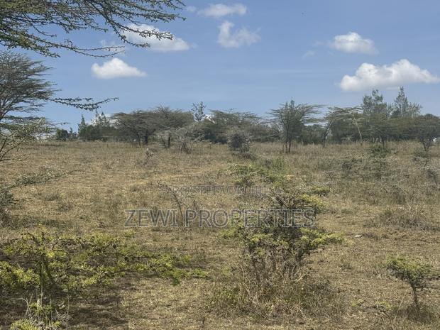 6 Acre Block - thumbnail 10