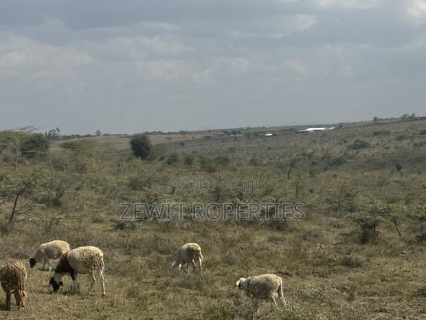 6 Acre Block - thumbnail 9