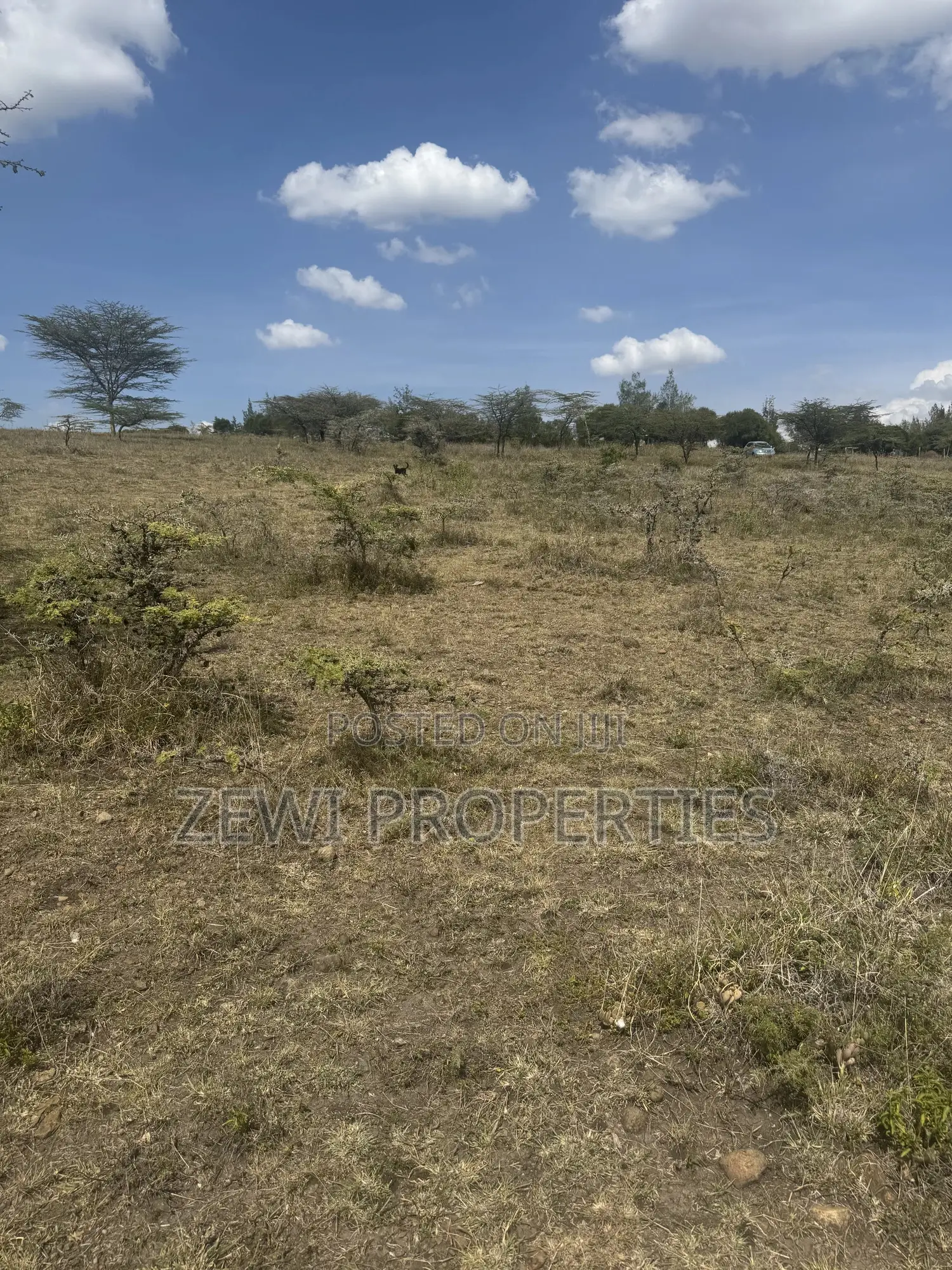 6 Acre Block