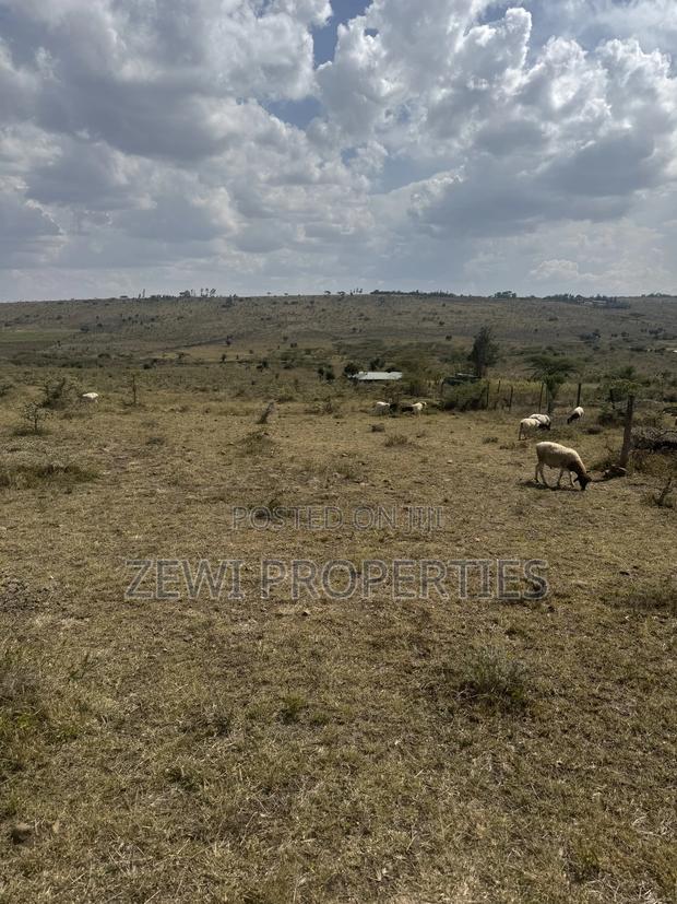 6 Acre Block - thumbnail 12