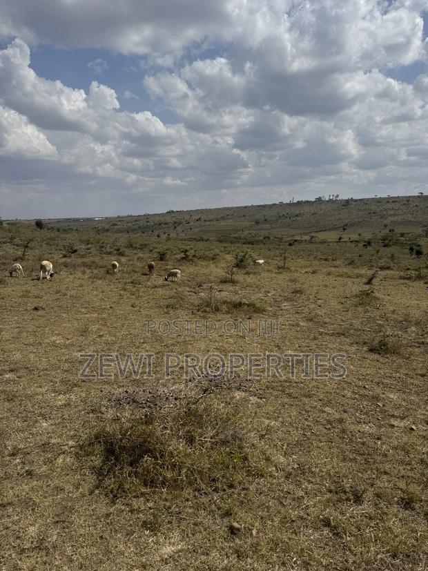 6 Acre Block - thumbnail 13