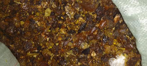 Haggar Gum - thumbnail 3