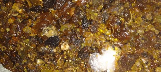 Haggar Gum - thumbnail 5