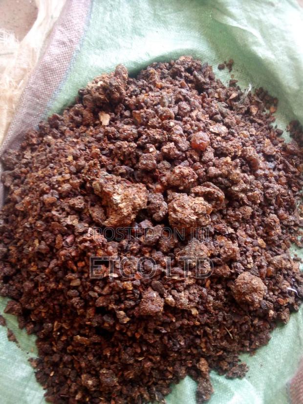 Haggar Gum - thumbnail 6