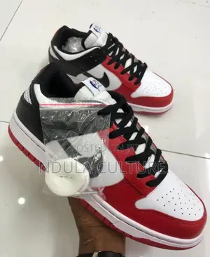 Nike Sb Dunk Shoes