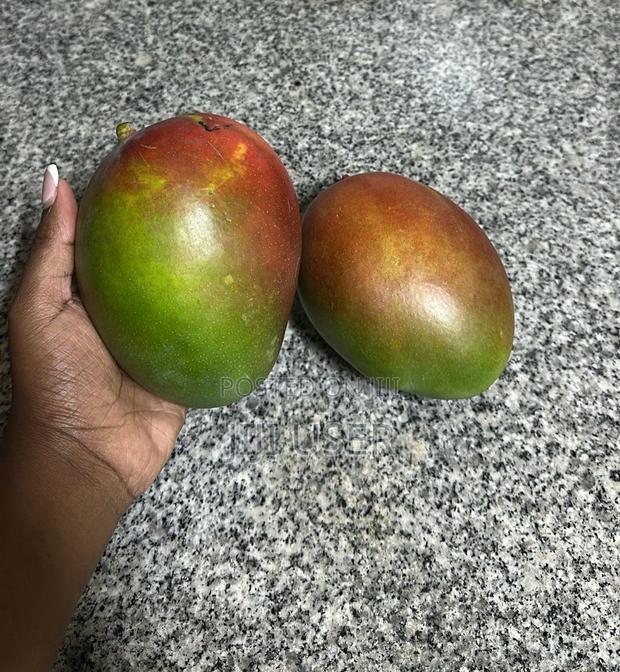 Fresh Kent Mangoes - thumbnail 2