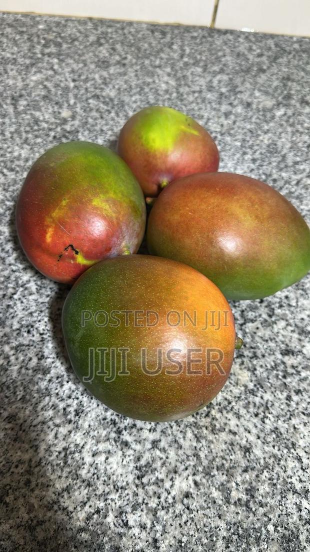 Fresh Kent Mangoes