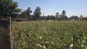 Thindigua: Kiambu Rd. 3/4acre for Sale