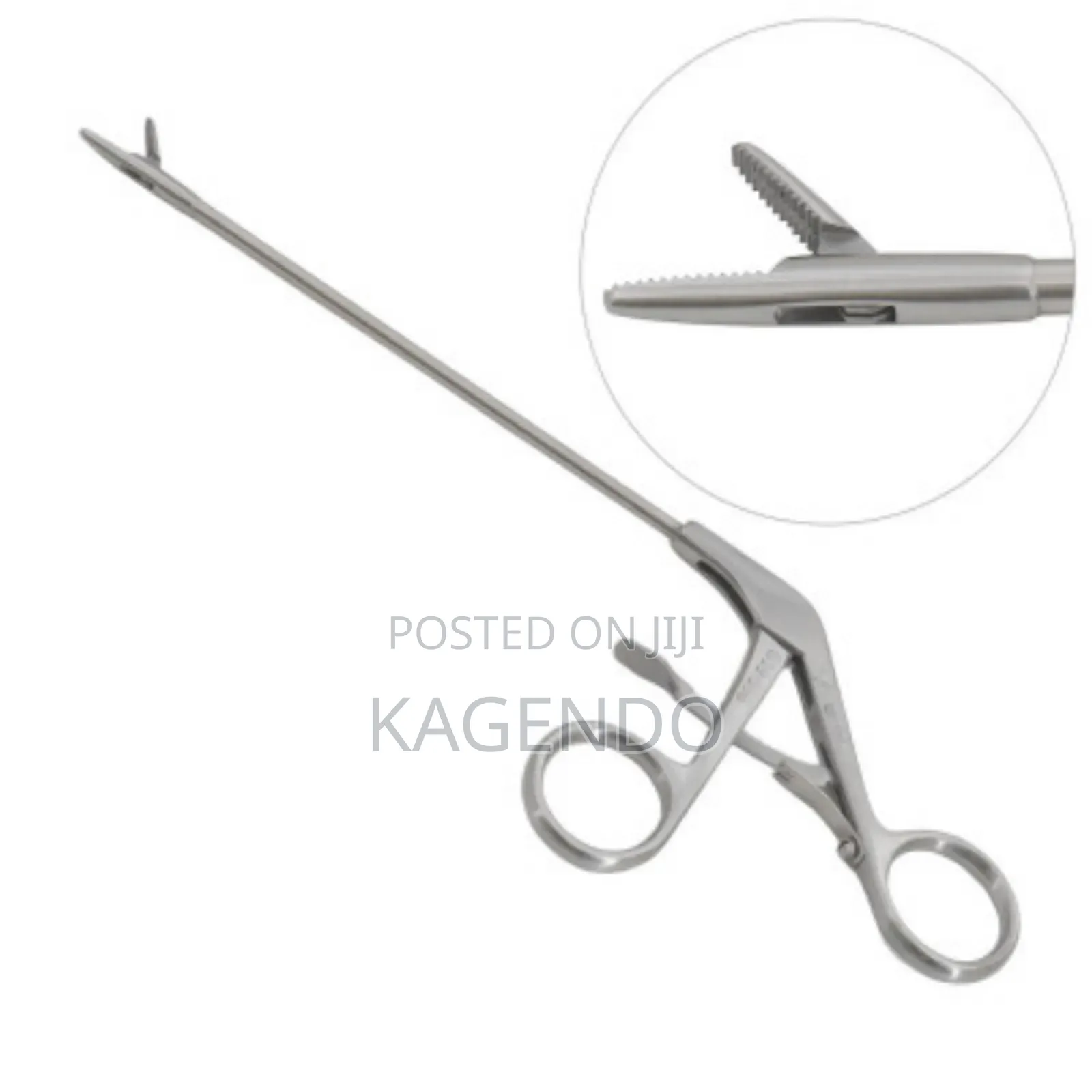 Alligator Forceps