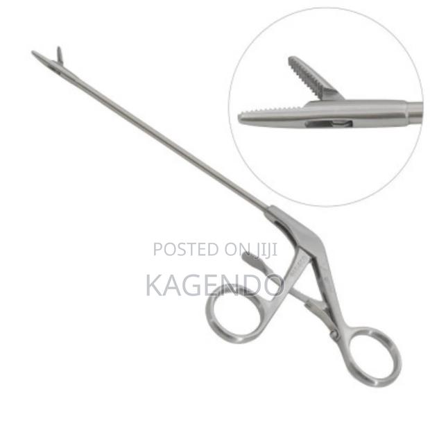 Alligator Forceps - main view