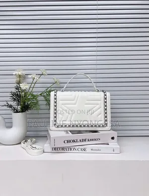 Ladies Handbag