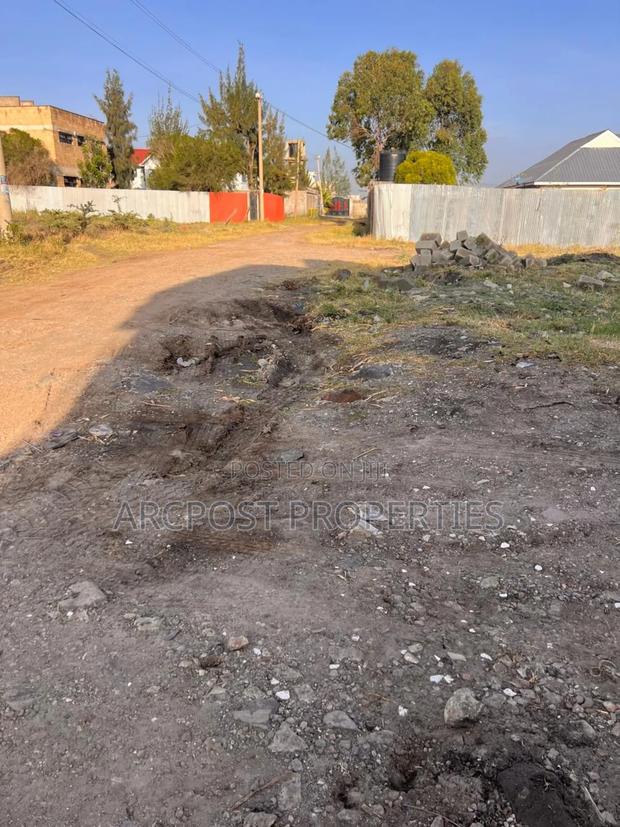 Two 50x100 Plots for Sale in Katani - thumbnail 4