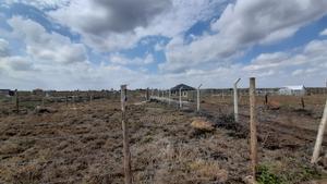 Gated 50x100 Plots in Prime Kitengela - thumbnail 2