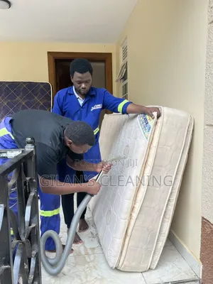 Sofa Cleaning,Bedbugs and Cockroach Fumigation