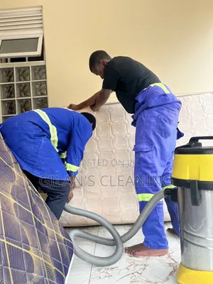Sofa Cleaning,Bedbugs and Cockroach Fumigation