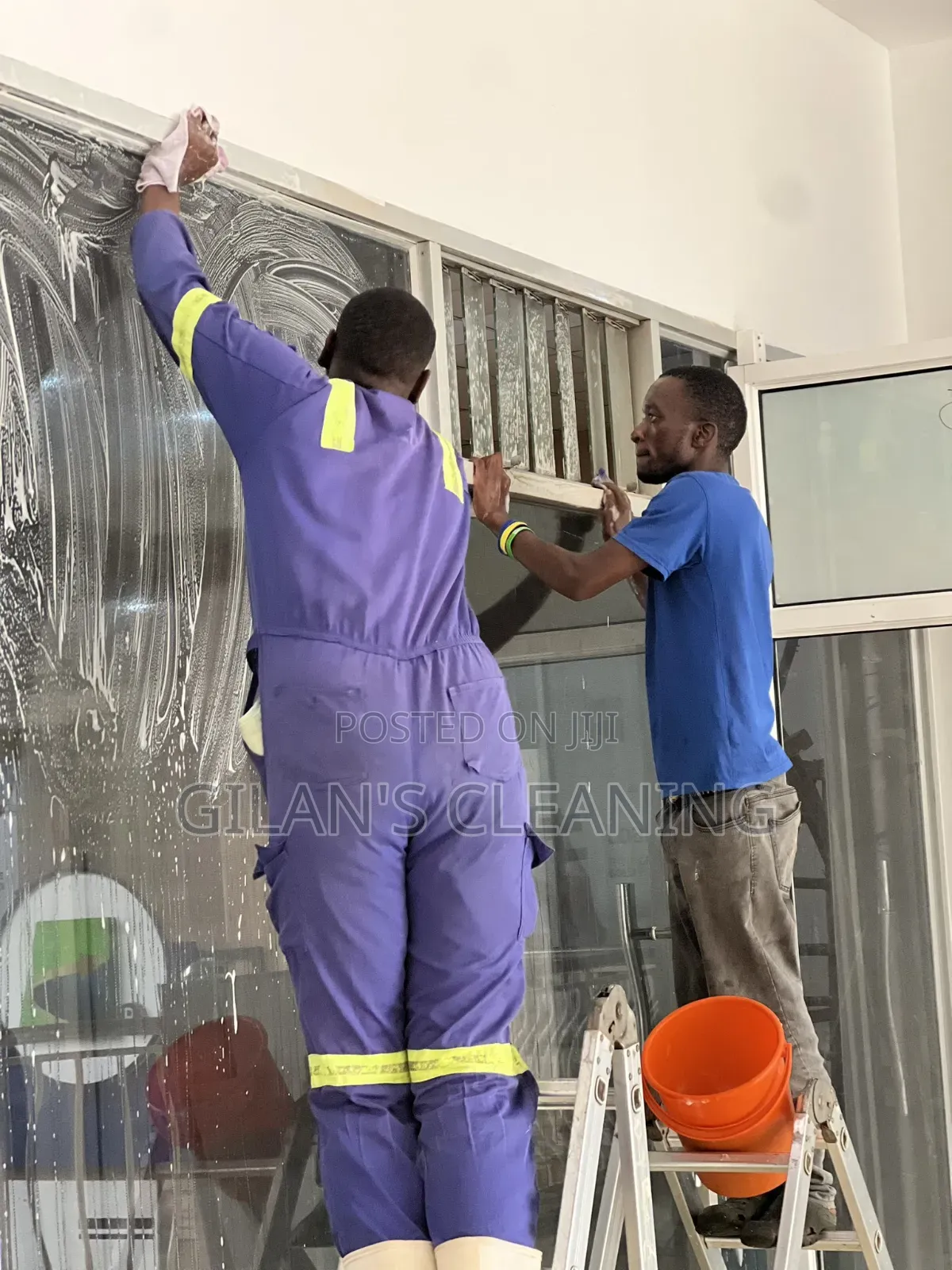 Sofa Cleaning,Bedbugs and Cockroach Fumigation