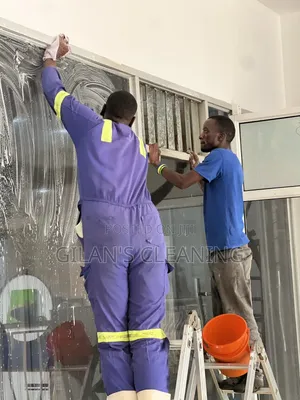 Sofa Cleaning,Bedbugs and Cockroach Fumigation