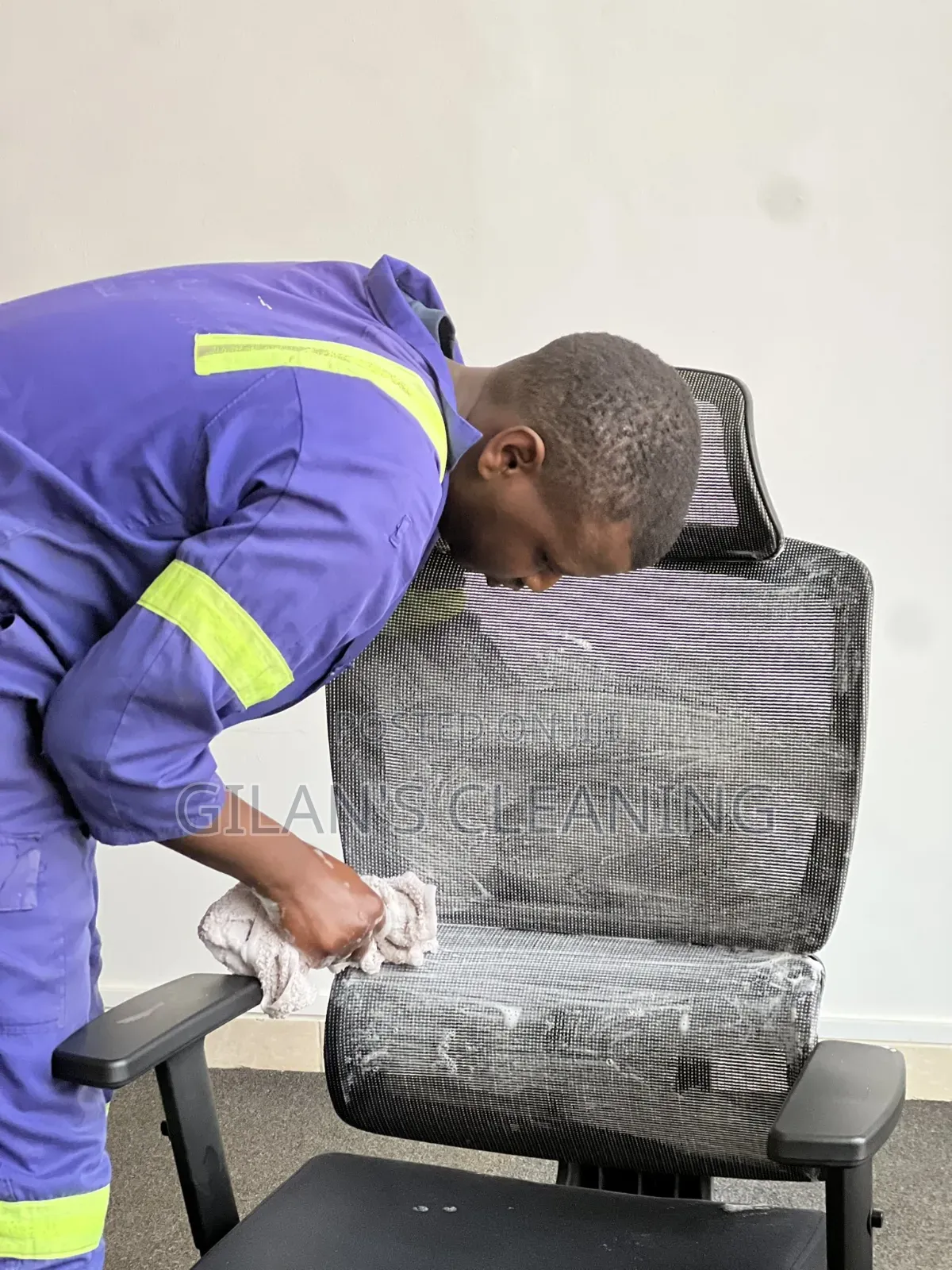 Sofa Cleaning,Bedbugs and Cockroach Fumigation