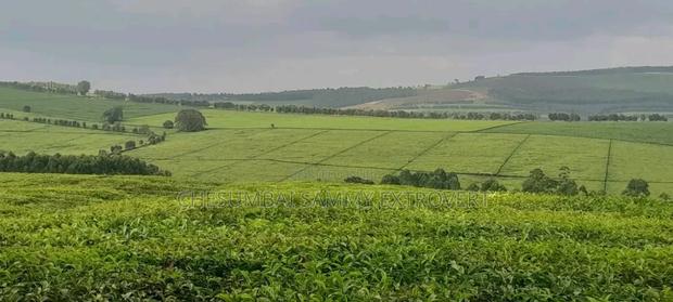 Estate Property for Sale