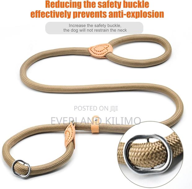 Heavy Duty Dog Slip Leash - main view