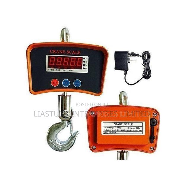 500kgs Crane Scale - main view