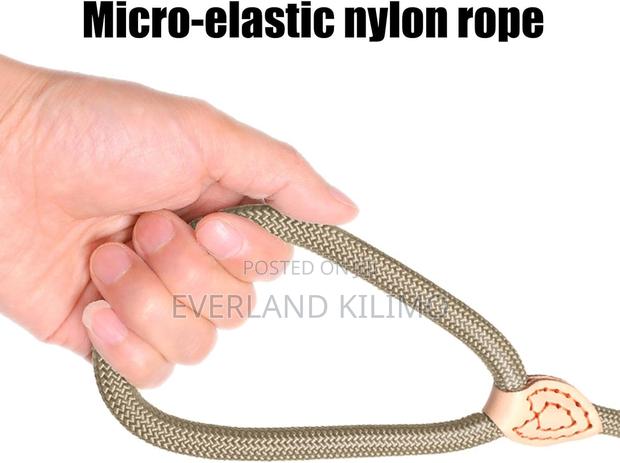 Dog Slip Leash - main view