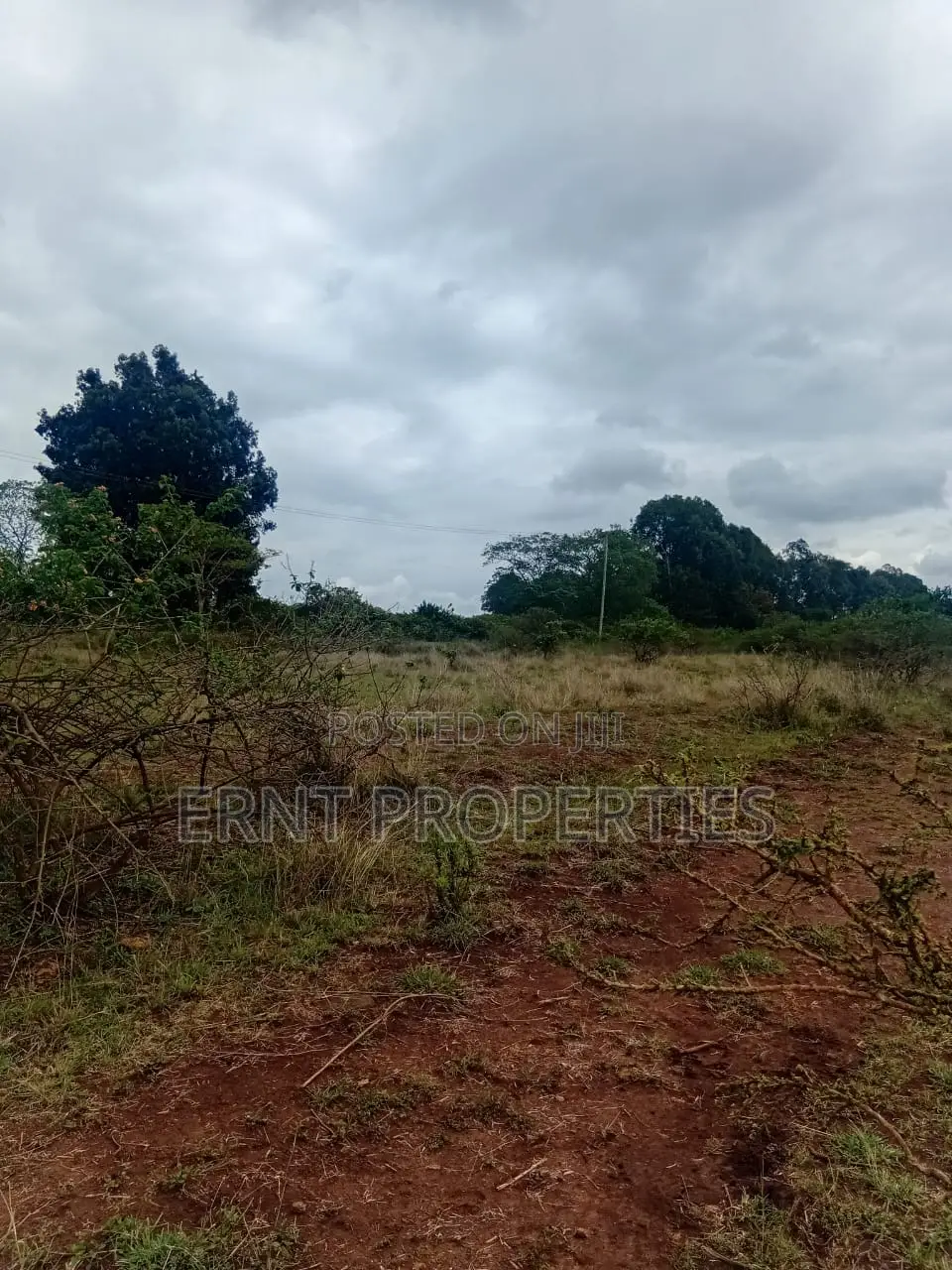 Prime 1/4 Acre Commercial Residential Plot for Sale Off Thika Road