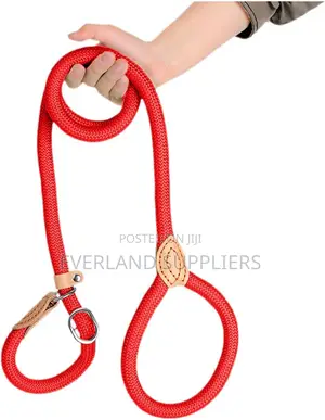 Comfortable Strong Rope Slip Leash For Large Medium Dogs