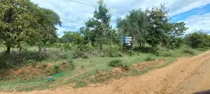Prime 50x100 Plots in Mwea Karaba – Pay in 12 Months