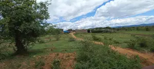Prime 50x100 Plots in Mwea Karaba – Pay in 12 Months