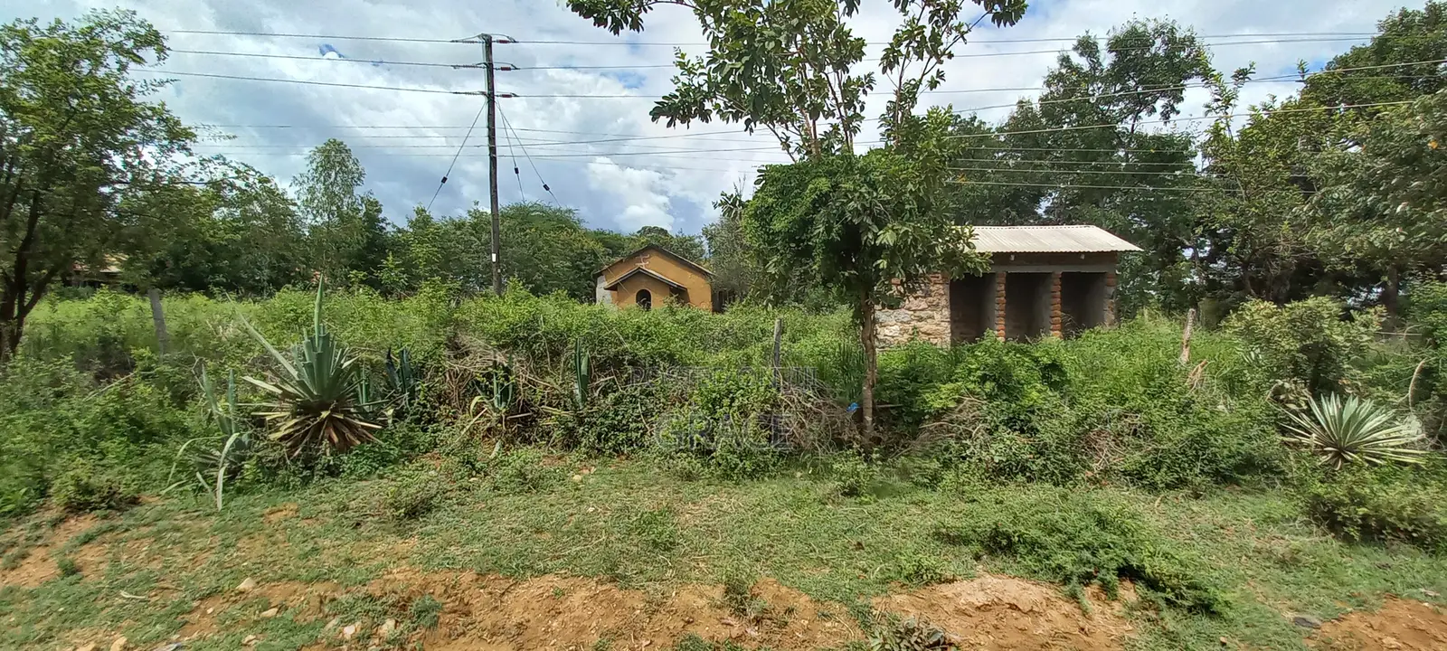 Prime 50x100 Plots in Mwea Karaba – Pay in 12 Months