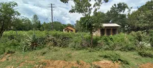 Prime 50x100 Plots in Mwea Karaba – Pay in 12 Months